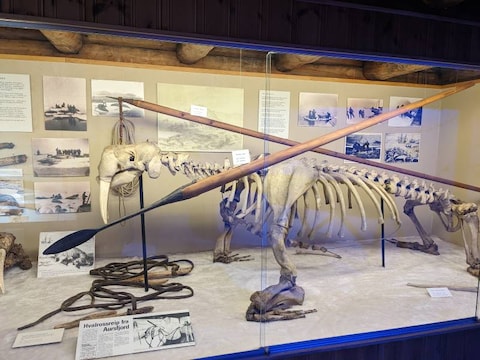 The Polar Museum