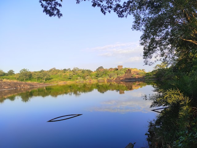 Akola_Narnala_wildlife_sanctuary_3