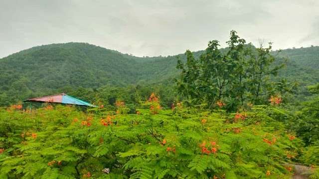 Akola_Toranmal_2