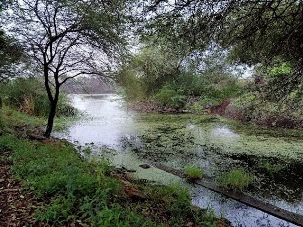 Bhavnagar_Victoria_park_3