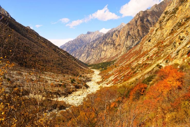Gangotri_national_park_2