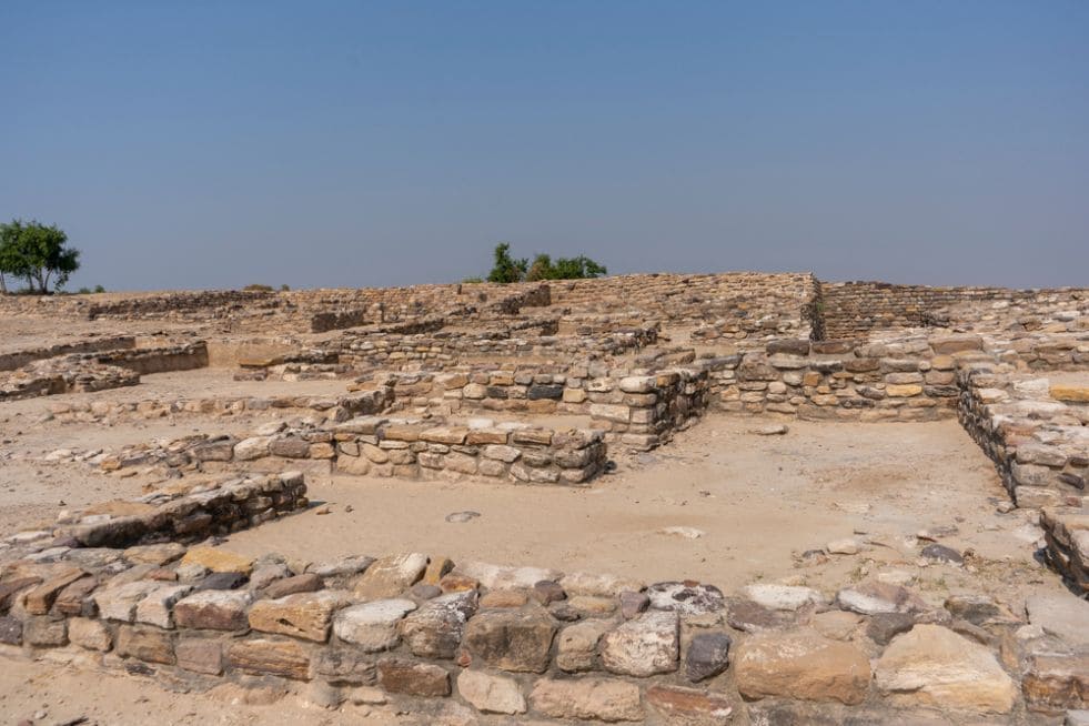 Hisar_Lohari_ragho_1