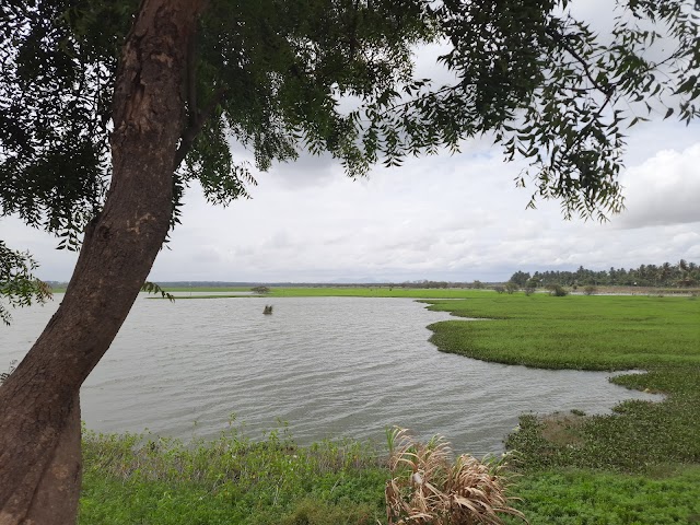 Hoskote_Hoskote_lake_1