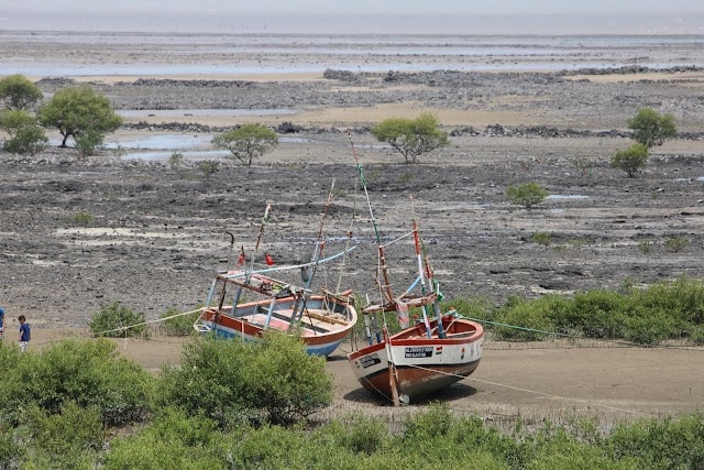 Jamnagar_Balachadi_beach_3