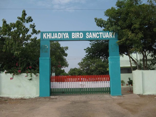 Jamnagar_Khijadiya_Bird_Sanctuary_2