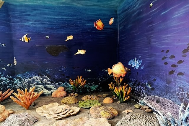 Narara Marine National Park