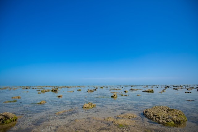Jamnagar_Narara_Marine_National_Park_2