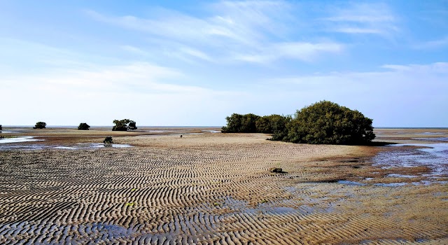 Jamnagar_Narara_Marine_National_Park_3