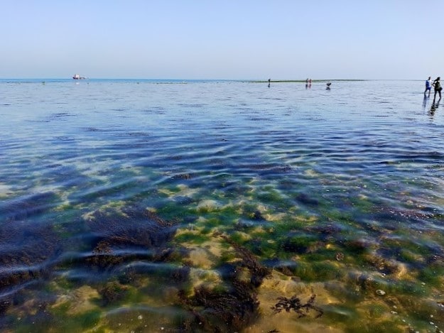 Jamnagar_Pirotan_Island_3