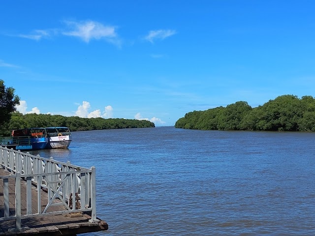 Kakinada_Coringa_wildlife_sanctuary_2
