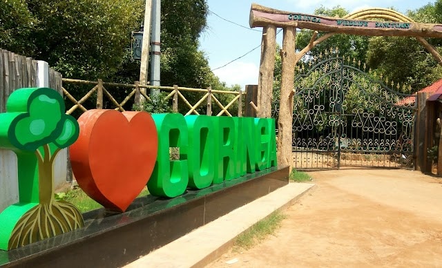 Kakinada_Coringa_wildlife_sanctuary_3