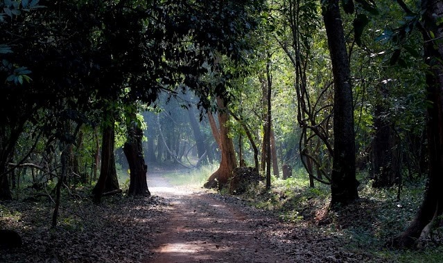 Kannur_Aralam_wildlife_sanctuary_2