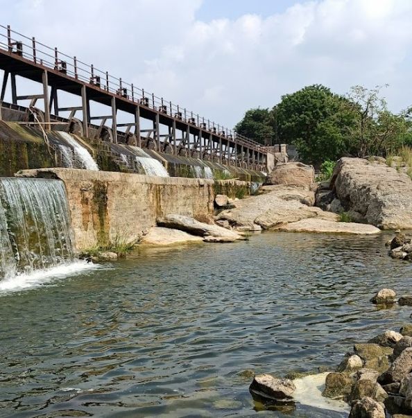 Khammam_Palair_lake_3