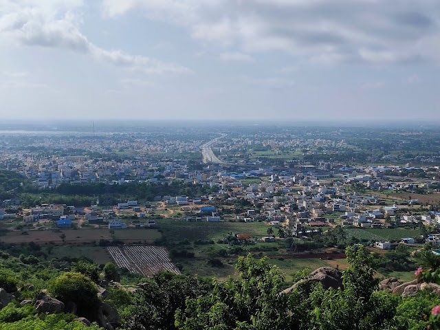 Kolar_Kolar_betta_1