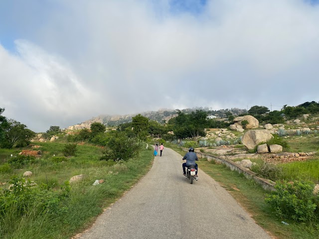 Kolar_Kolar_betta_2