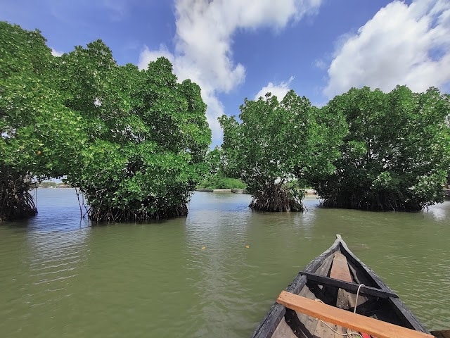 Kollam_Munroe_island_2