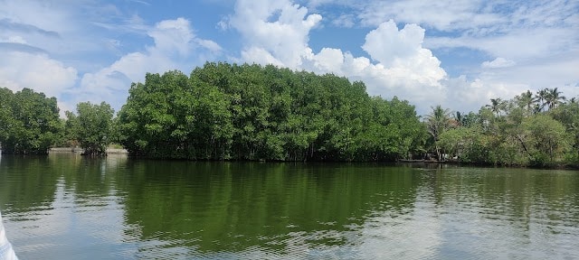 Kollam_Munroe_island_3