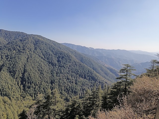 Kufri_Green_valley_1