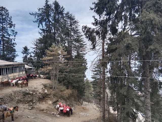 Kufri_Green_valley_2