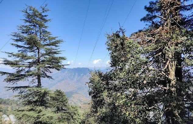 Kufri_Green_valley_3