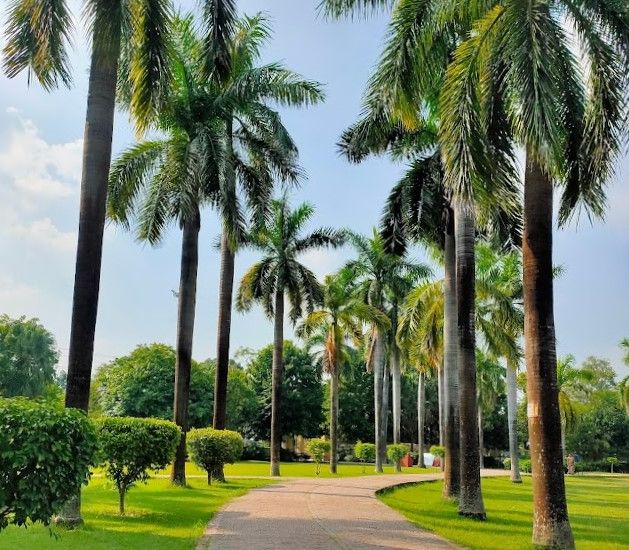 Kushinagar_Japanese_meditation_park_2