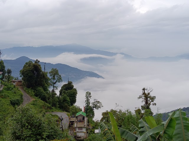 Lava_Tiffin_dara_3