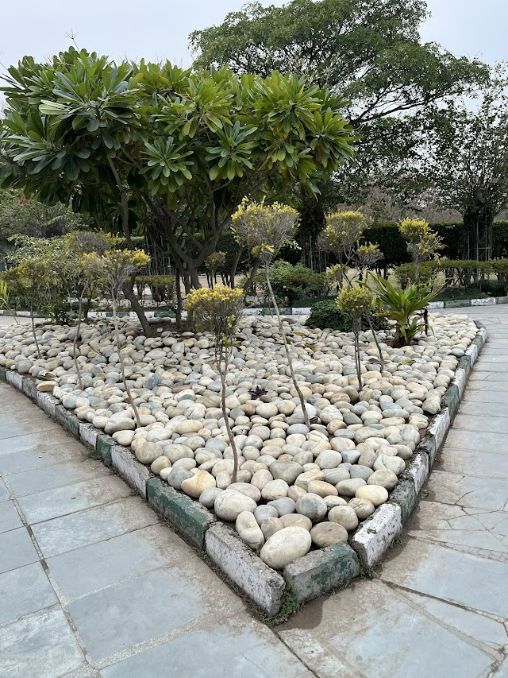 Mohali_Silvi_park_2