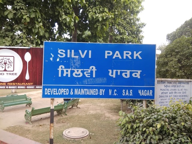Mohali_Silvi_park_3