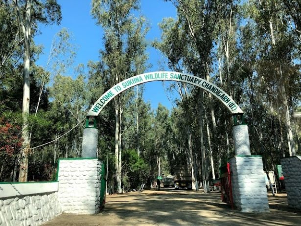 Mohali_Sukhna_wildlife_sanctuary_1
