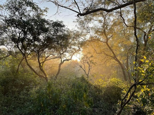 Mohali_Sukhna_wildlife_sanctuary_2