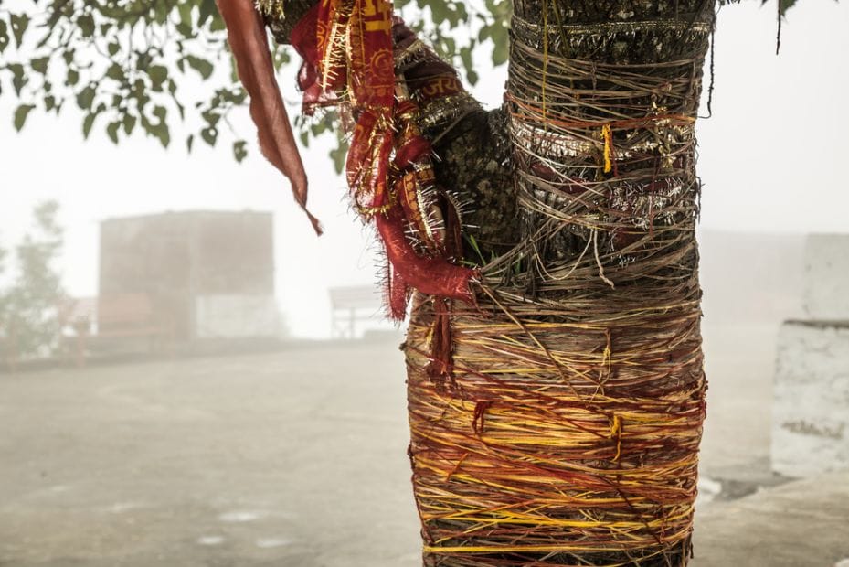 Muzaffarnagar_Akshay_vat_vatika_1