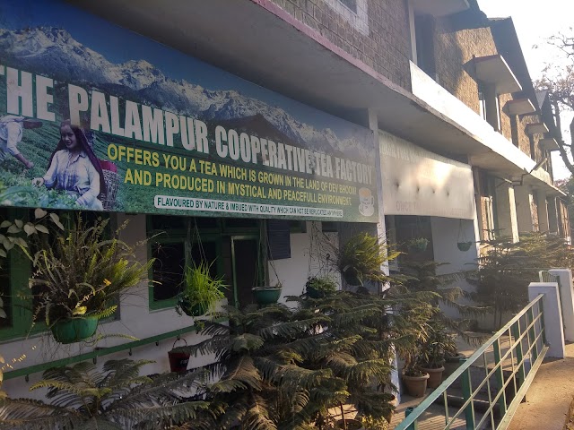 Palampur_The_palampur_co-operative_tea_factory_2