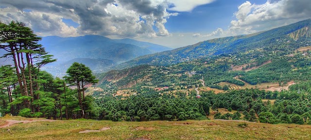 Patnitop_Billoo_ki_powri_1