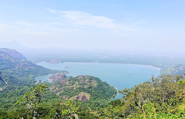 Pollachi_Anamalai_hills_2