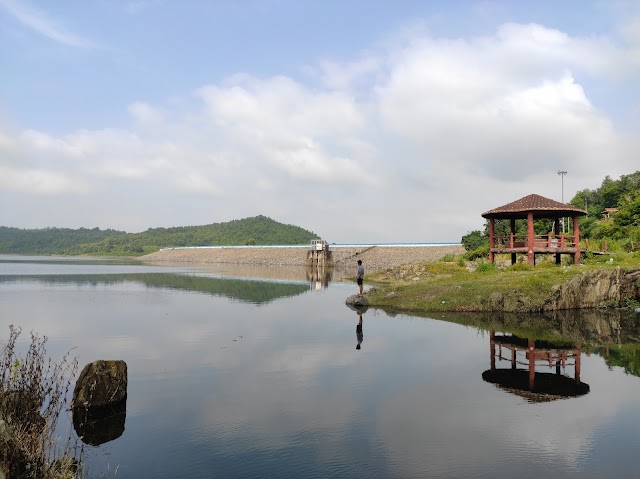 Rourkela_Pitamahal_dam_1