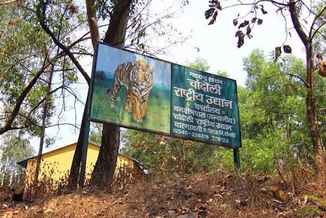 Sangli_Chandoli_national_park_2
