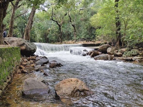 Tirunelveli_Kalakkadu_wildlife_sanctuary_1