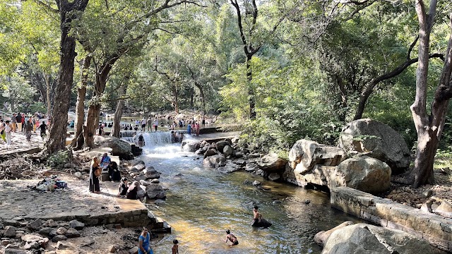 Tirunelveli_Kalakkadu_wildlife_sanctuary_2