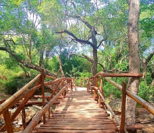 Tirunelveli_Kalakkadu_wildlife_sanctuary_3