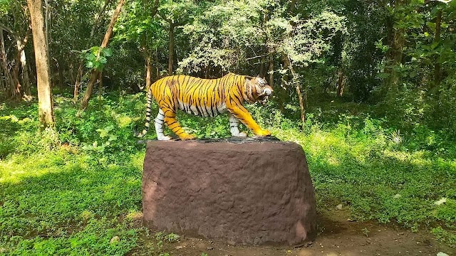 Tirunelveli_Kalakkadu_wildlife_sanctuary_4