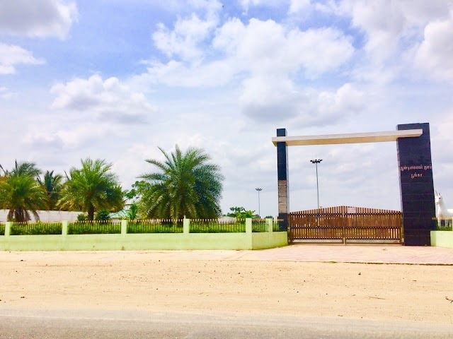 Tirupur_Andipalayam_lake_2