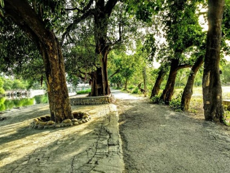 Bathinda_Kapurthala_2