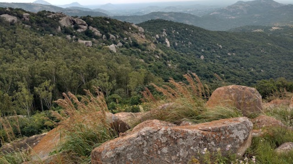 Chittoor_Horsley_hills_3