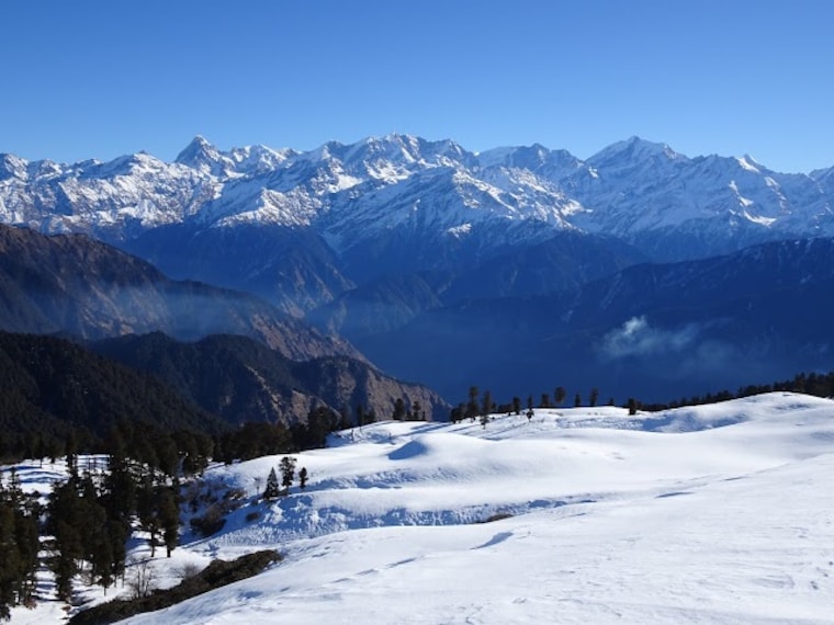 Gangotri_dayara_bugyal_1