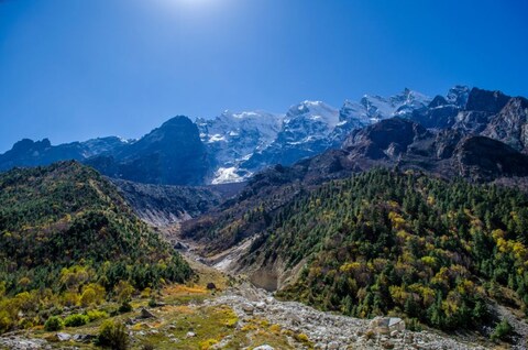 Gangotri National Park
