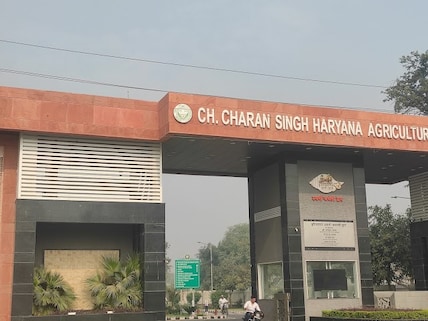 Haryana Agriculture University