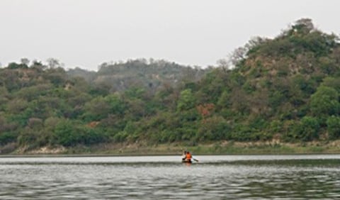 Dasuya Forest Division