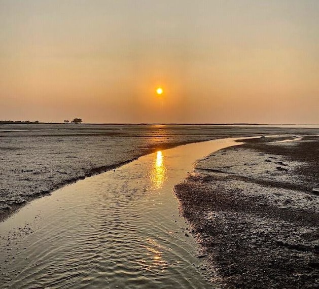 Jamnagar_Balachadi_beach_1