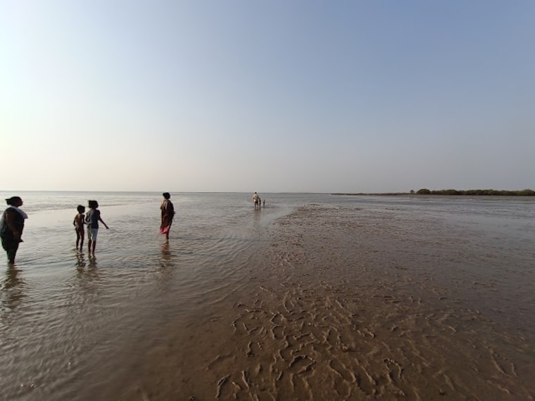 Jamnagar_Balachadi_beach_2
