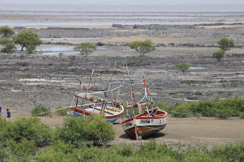 Jamnagar_Balachadi_beach_3